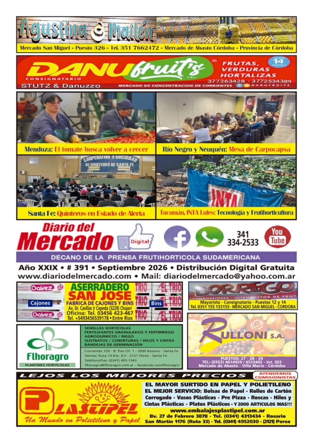 Diario del Mercado Digital